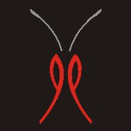 pentas's profile picture