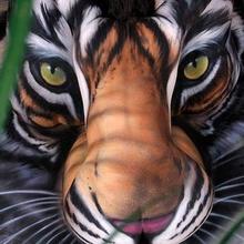 Manish Singh's profile picture