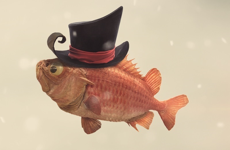 Fierro Photography's profile picture