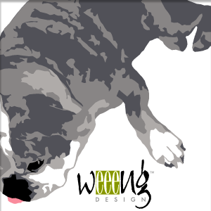 weeeng's profile picture