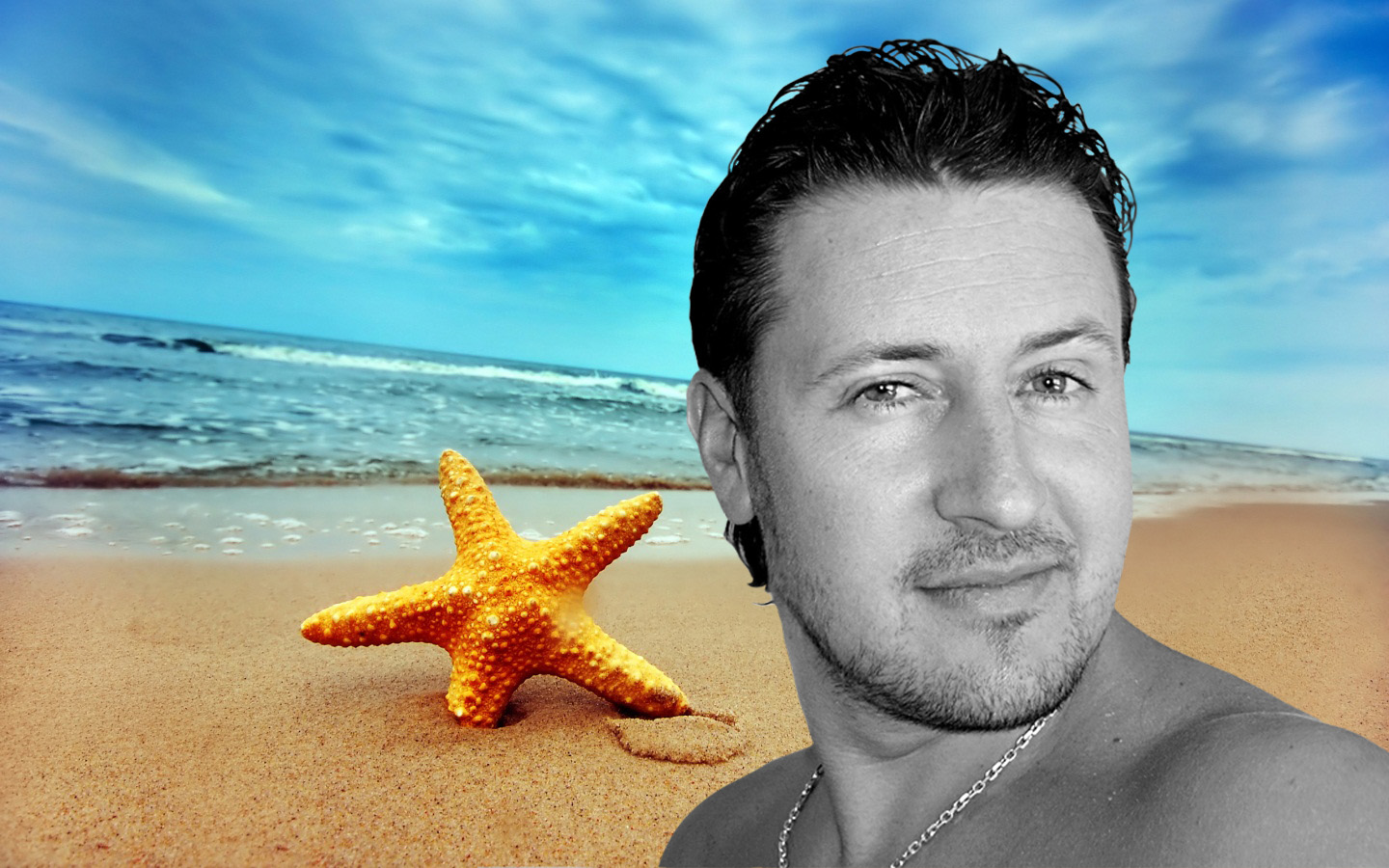 bsfc's profile picture