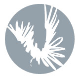 Nick Saltmer Design's profile picture