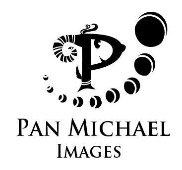 Pan Michael's profile picture
