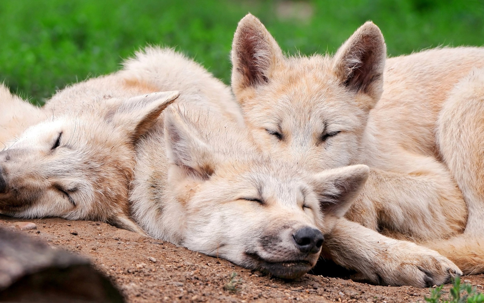 Hawkeyes Johnson's profile picture