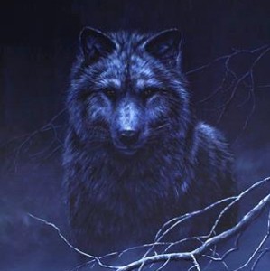 BlackK@t's profile picture