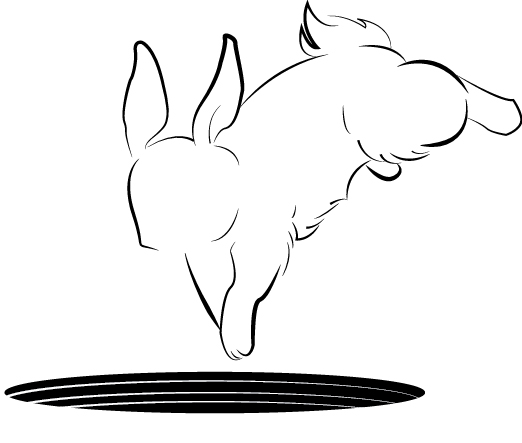 Rabbit Hole Creations's profile picture