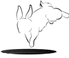 Rabbit Hole Creations