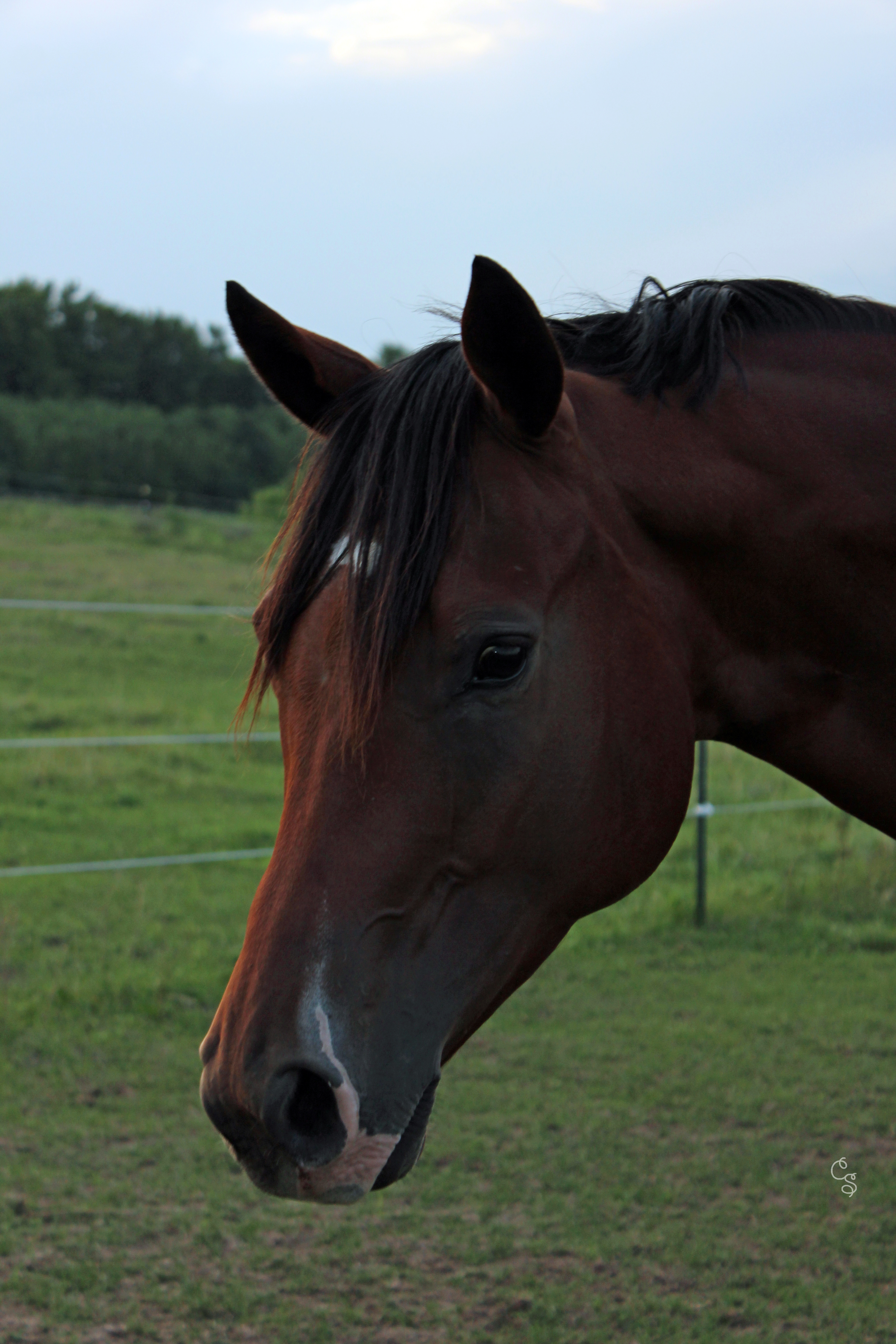 melaniecan's profile picture