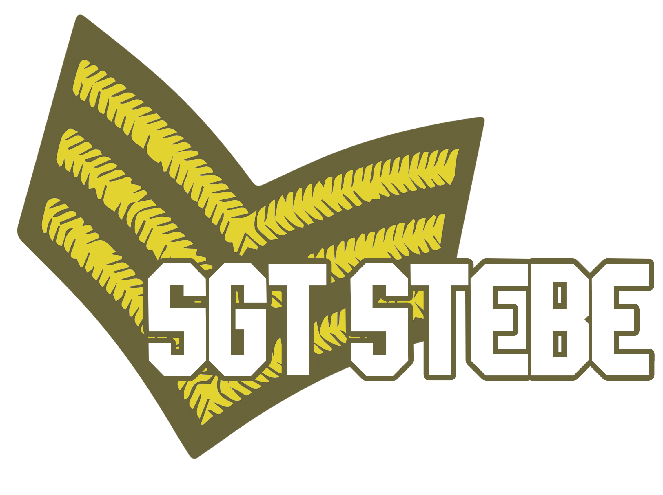 Stebe's profile picture