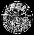 Voyager's profile picture