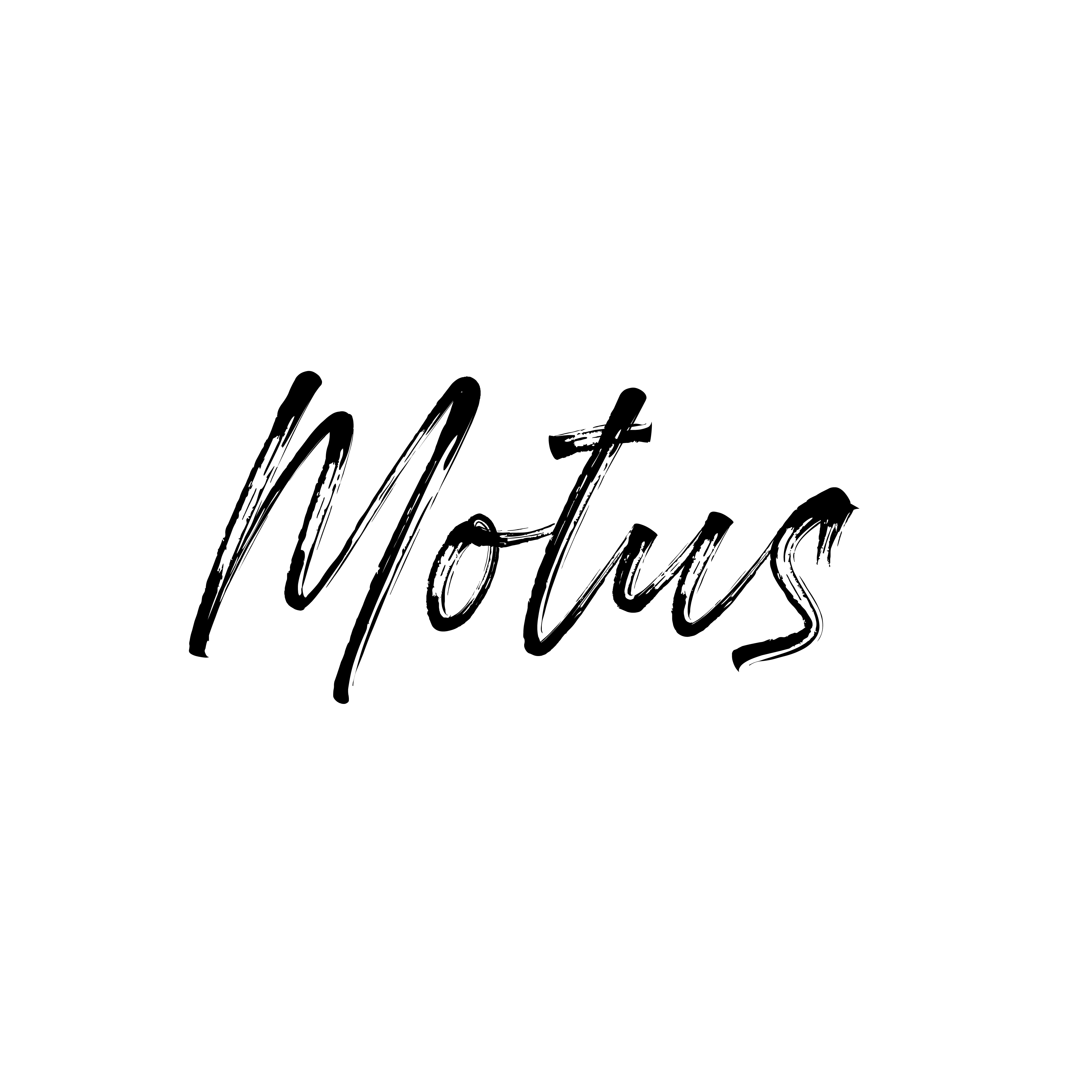 Motus Design Studio's profile picture