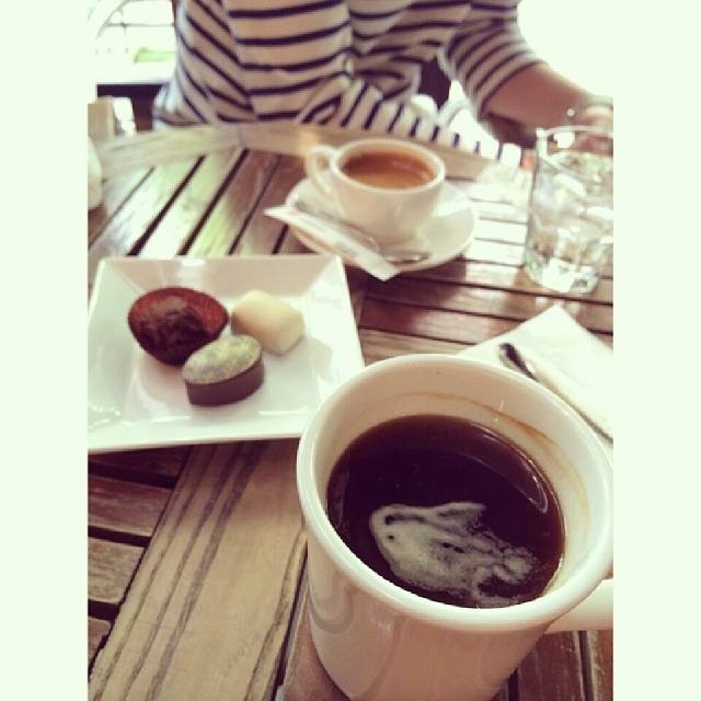 Zorino Vespucci's profile picture