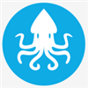 Creative Squid