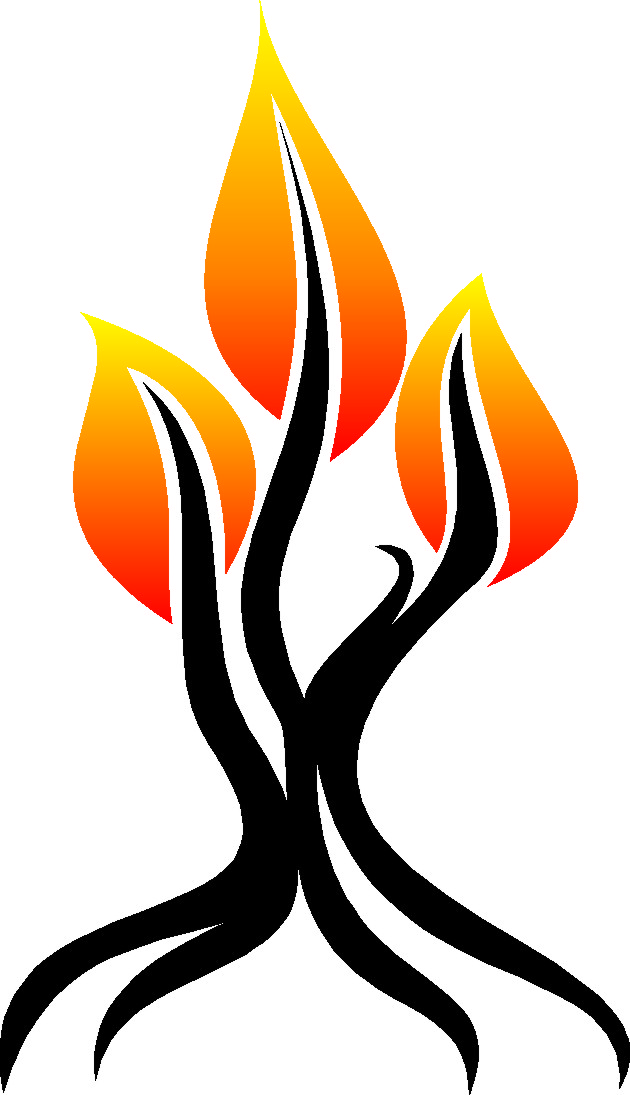 FireTree Designs's profile picture