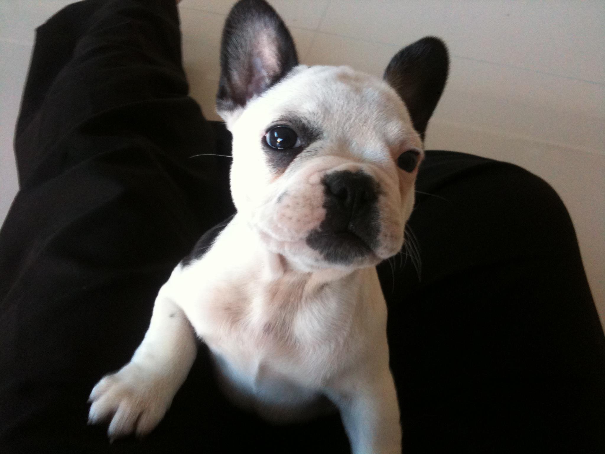 StitchInt's profile picture