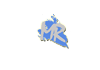 MaruchelloRasik