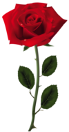 azkarehman78754@yahoo.com