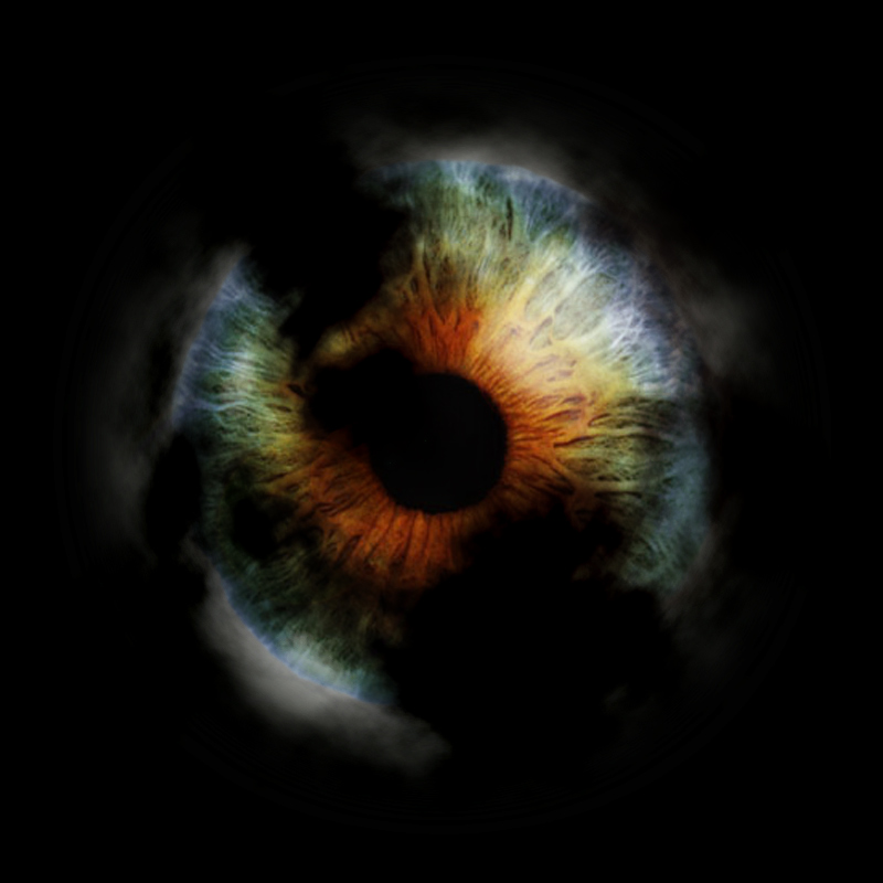 theshoe15's profile picture