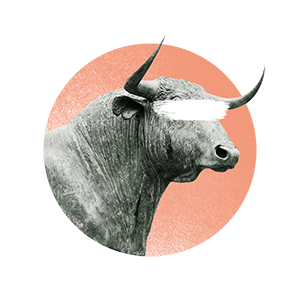 Jadekind's profile picture