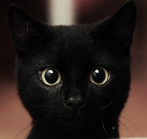 Mariecc's profile picture