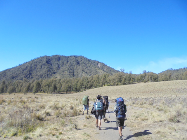 luthfiosx's profile picture