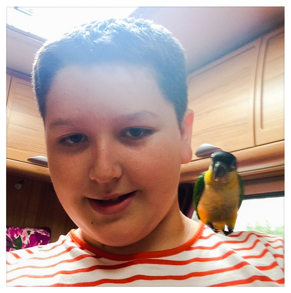 MM8's profile picture
