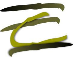 Elite Designers's profile picture