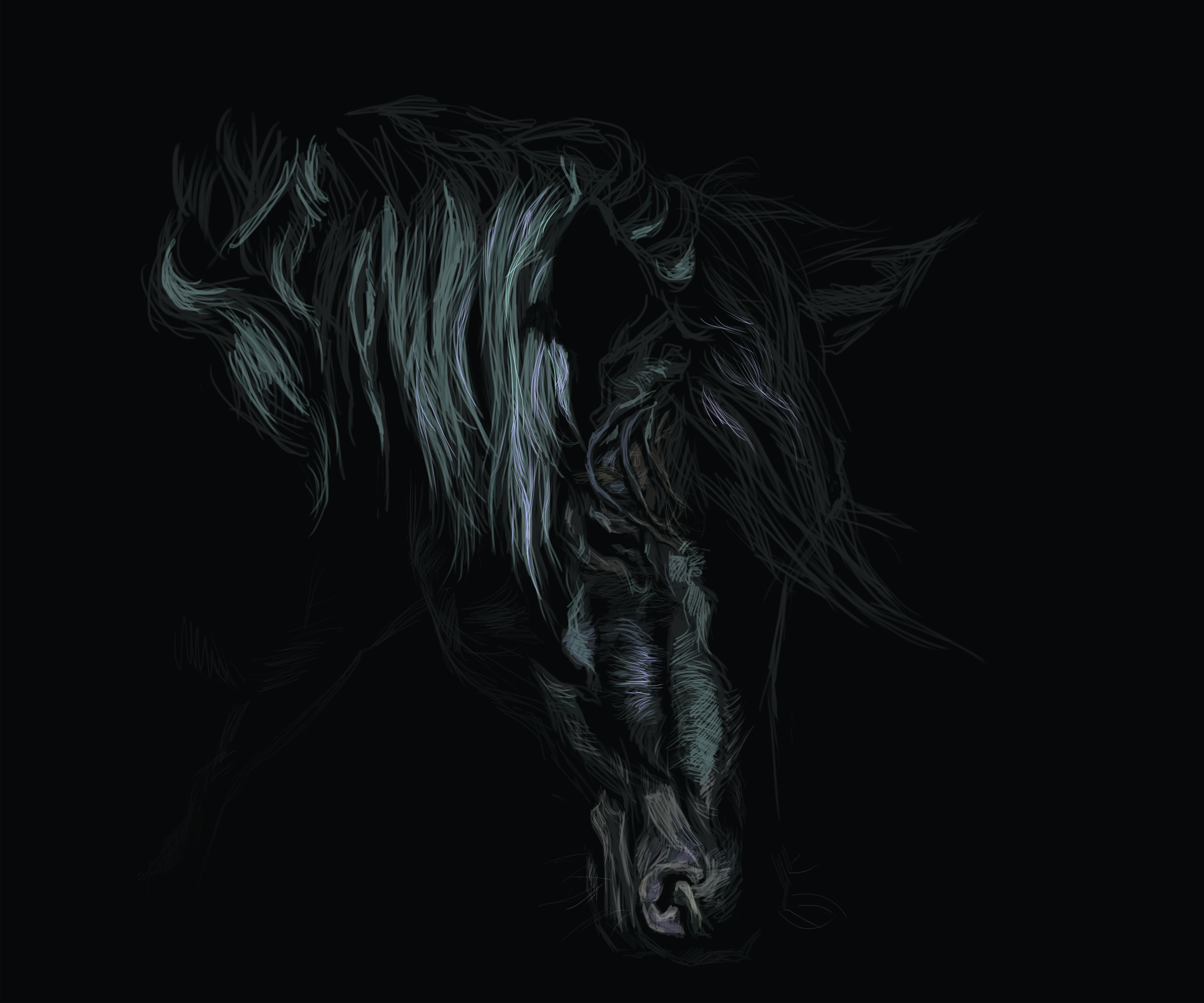 dinug.312's profile picture