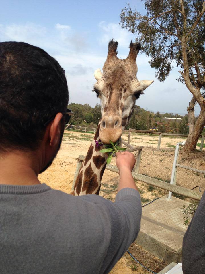 foued's profile picture