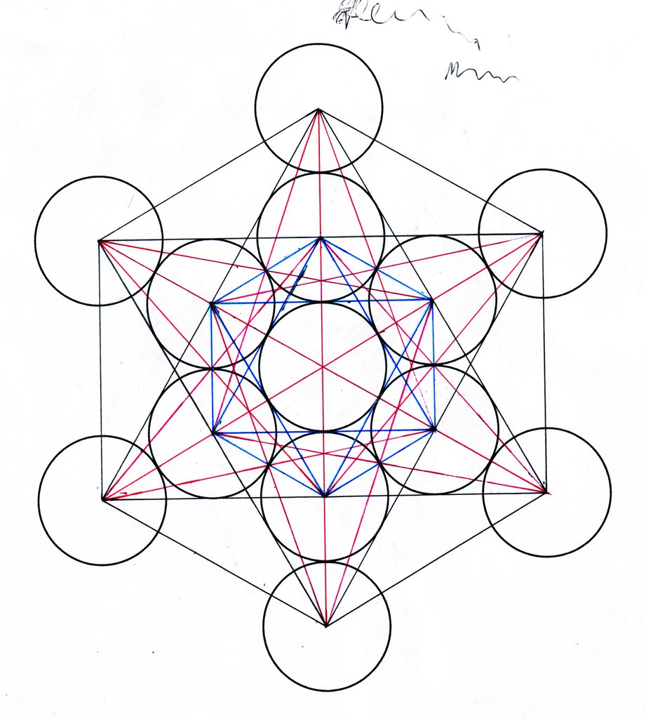 NightSkies's profile picture