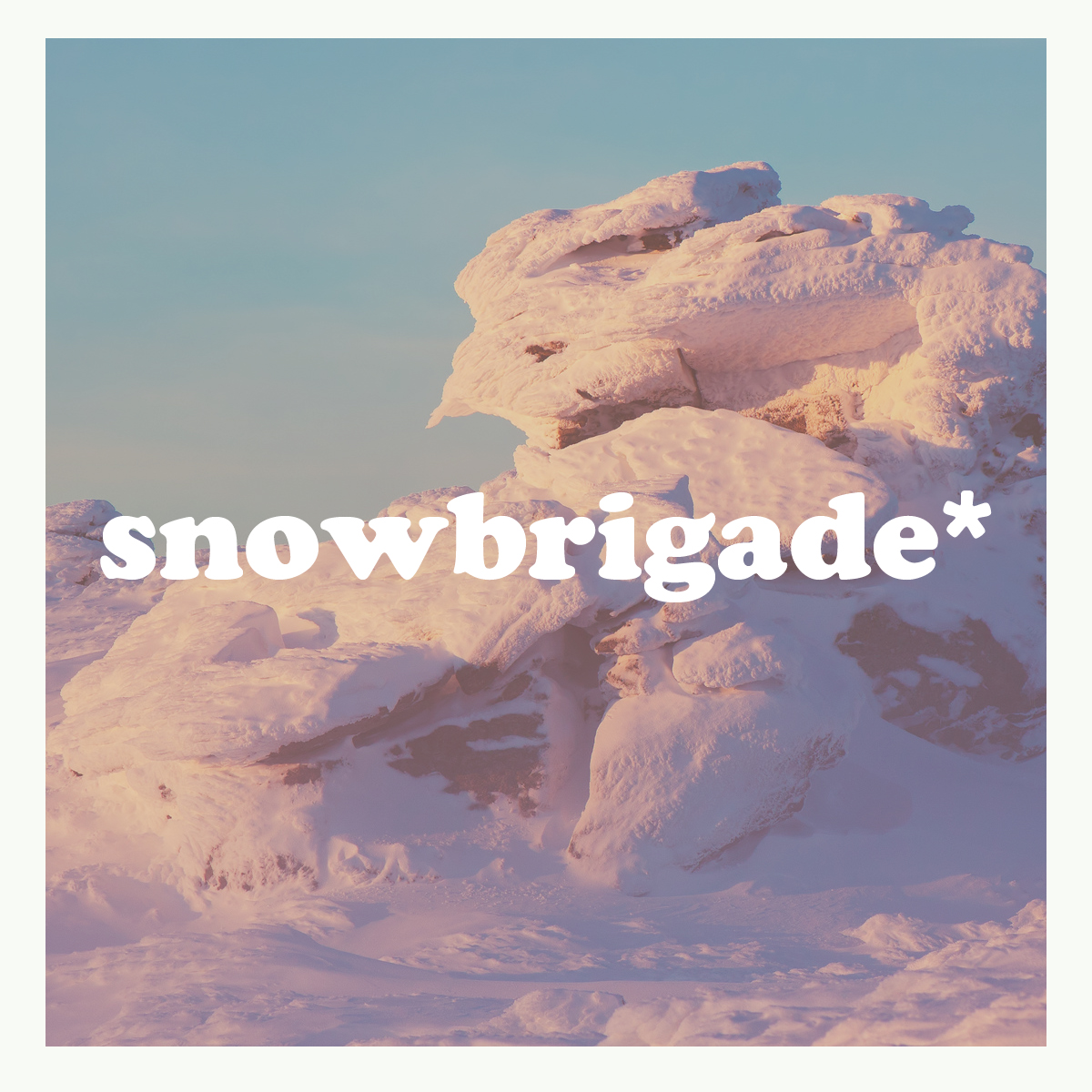 snowbrigade's profile picture