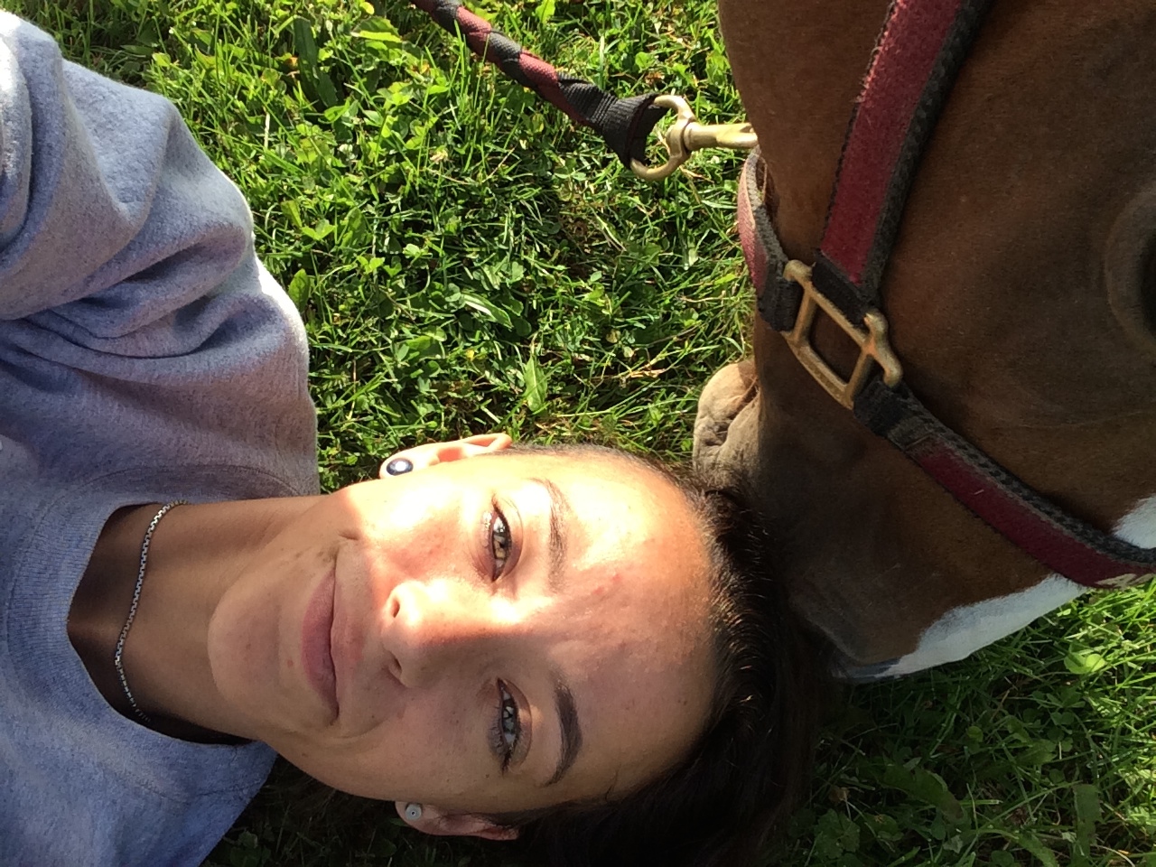 smorr's profile picture