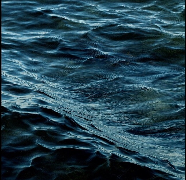 NikBishop's profile picture