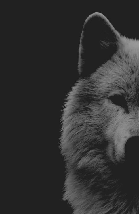 RubenGranja.'s profile picture