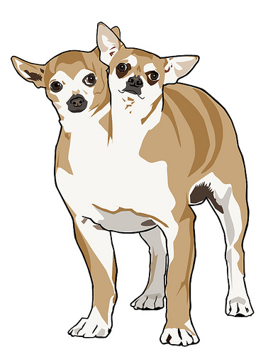 John Brushh's profile picture