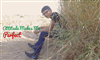 Soham Pandya