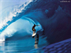 Surfmeister