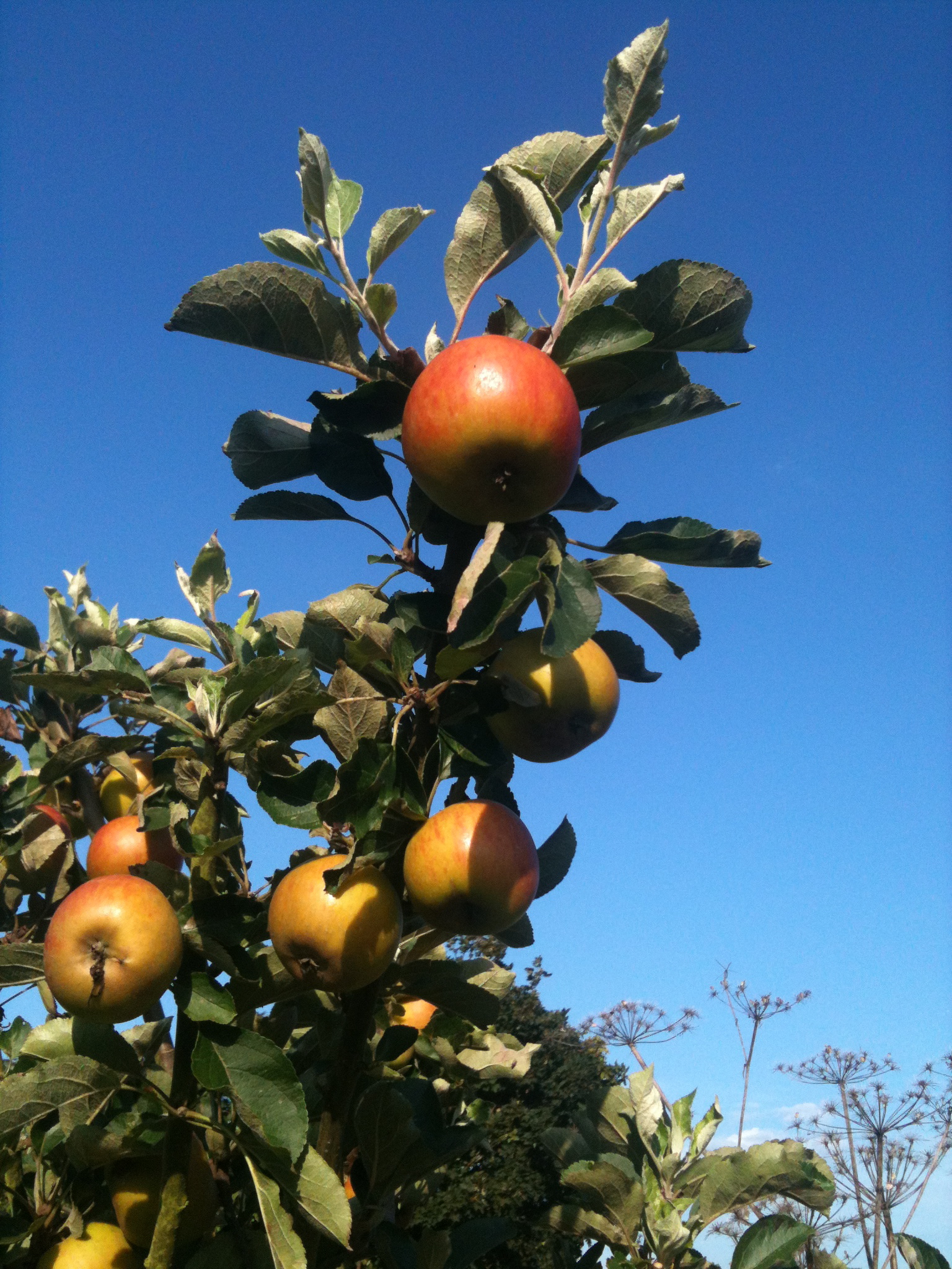 Nathan's profile picture