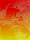 bobshaire