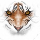 Sam's profile picture