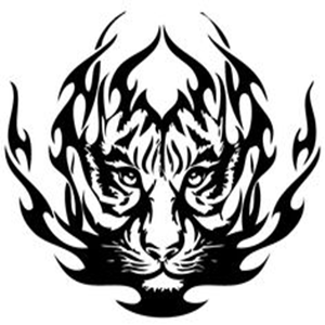 jasondellecanonoy's profile picture
