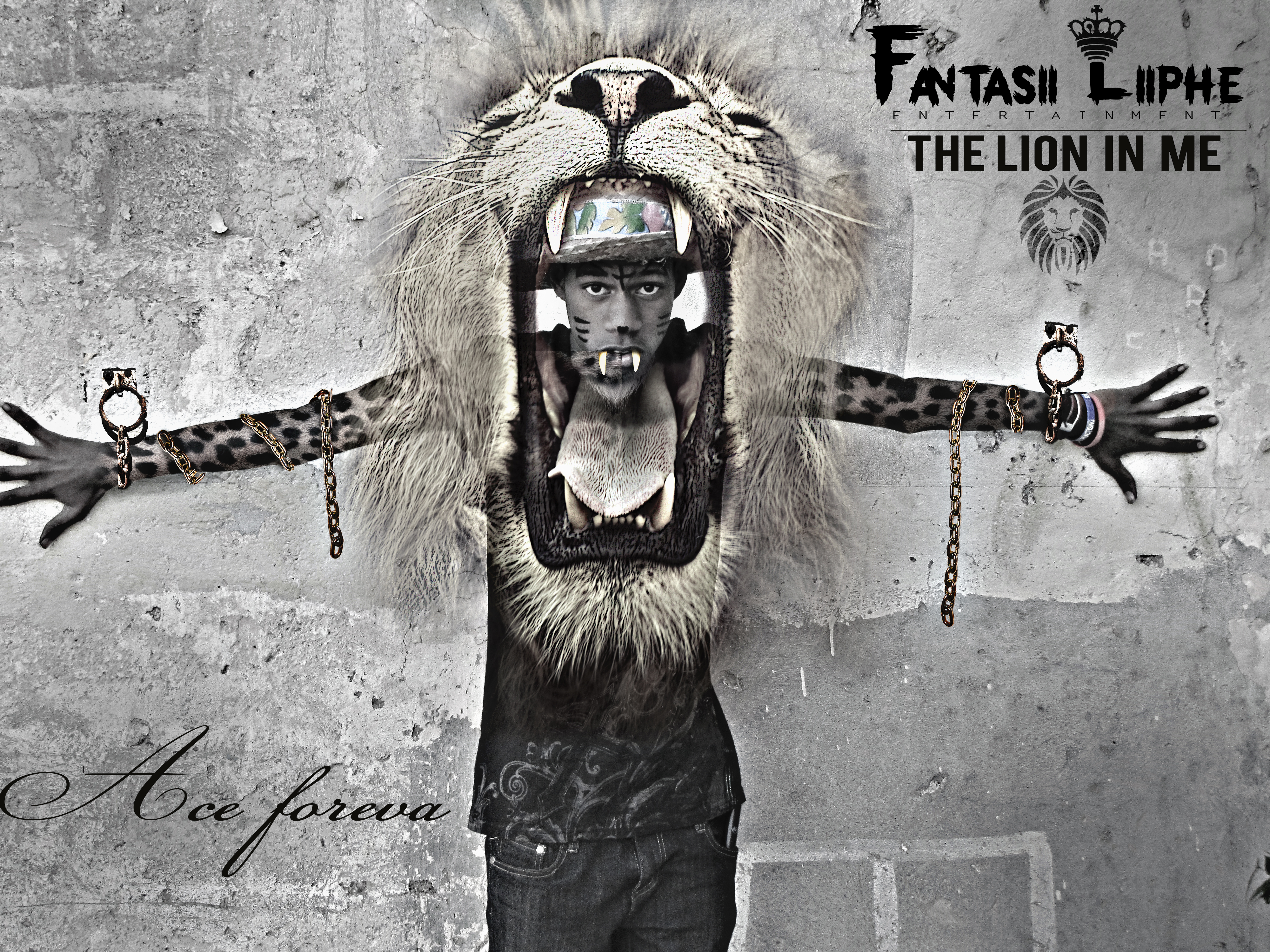 aceion's profile picture