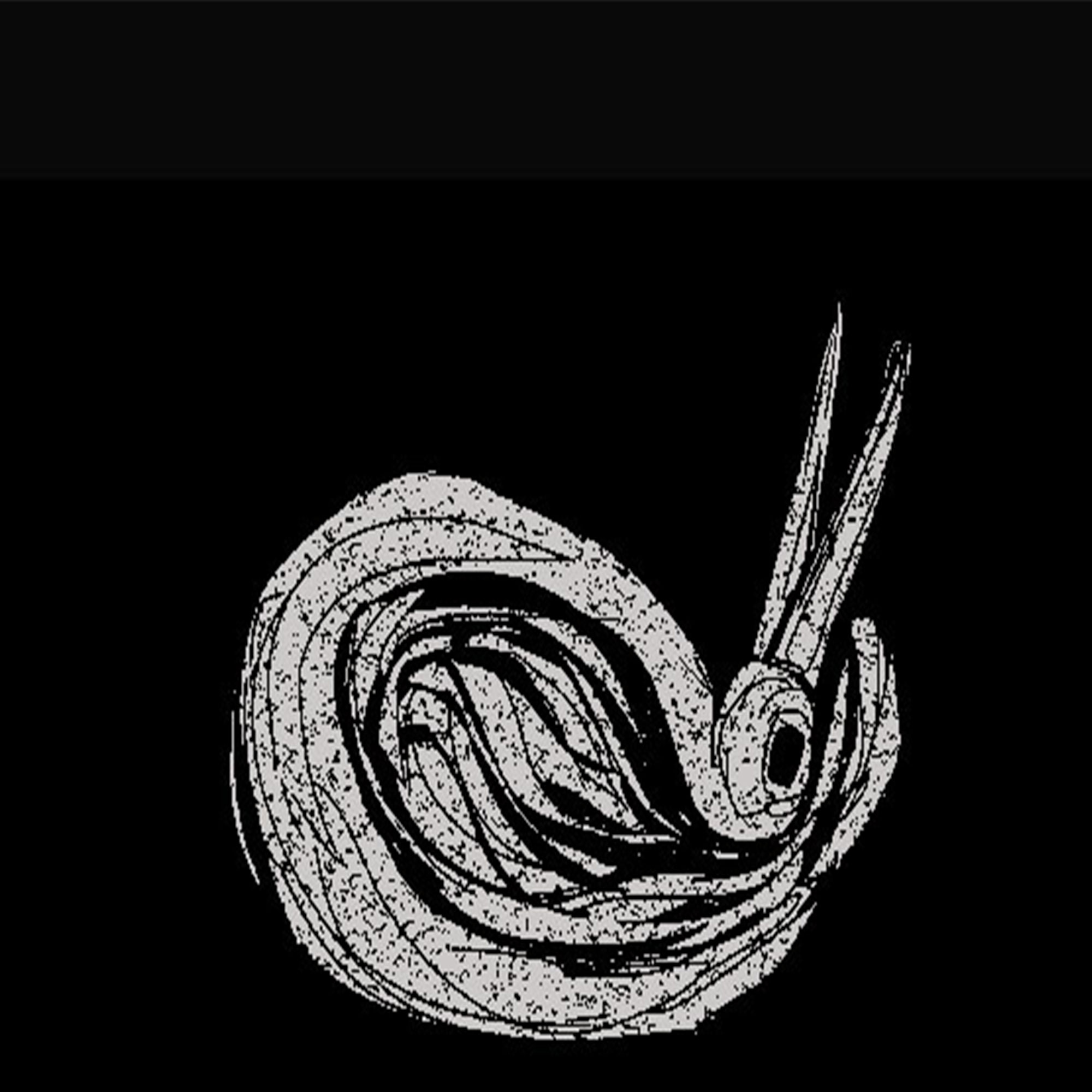kocoze's profile picture