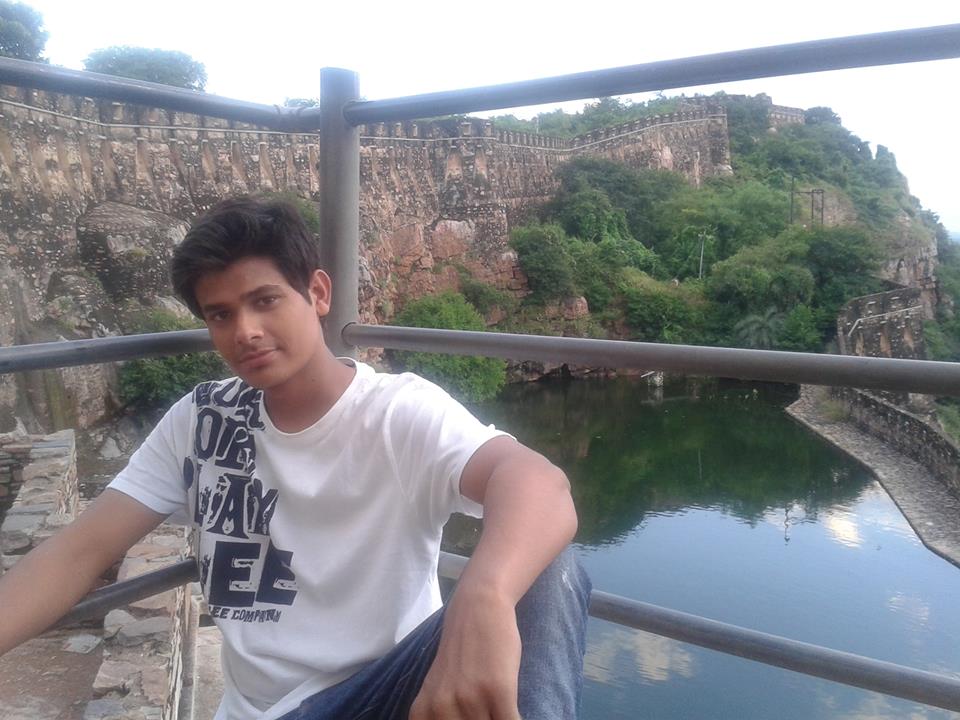arish's profile picture