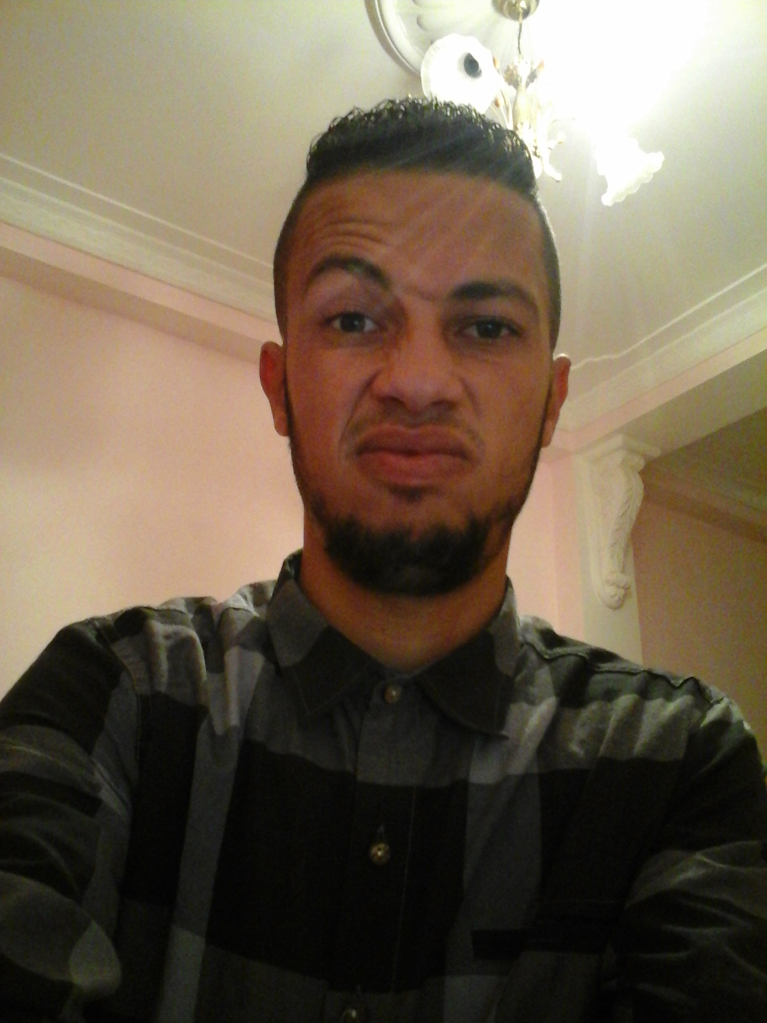 khaled.bizo's profile picture