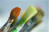 Sri_Web