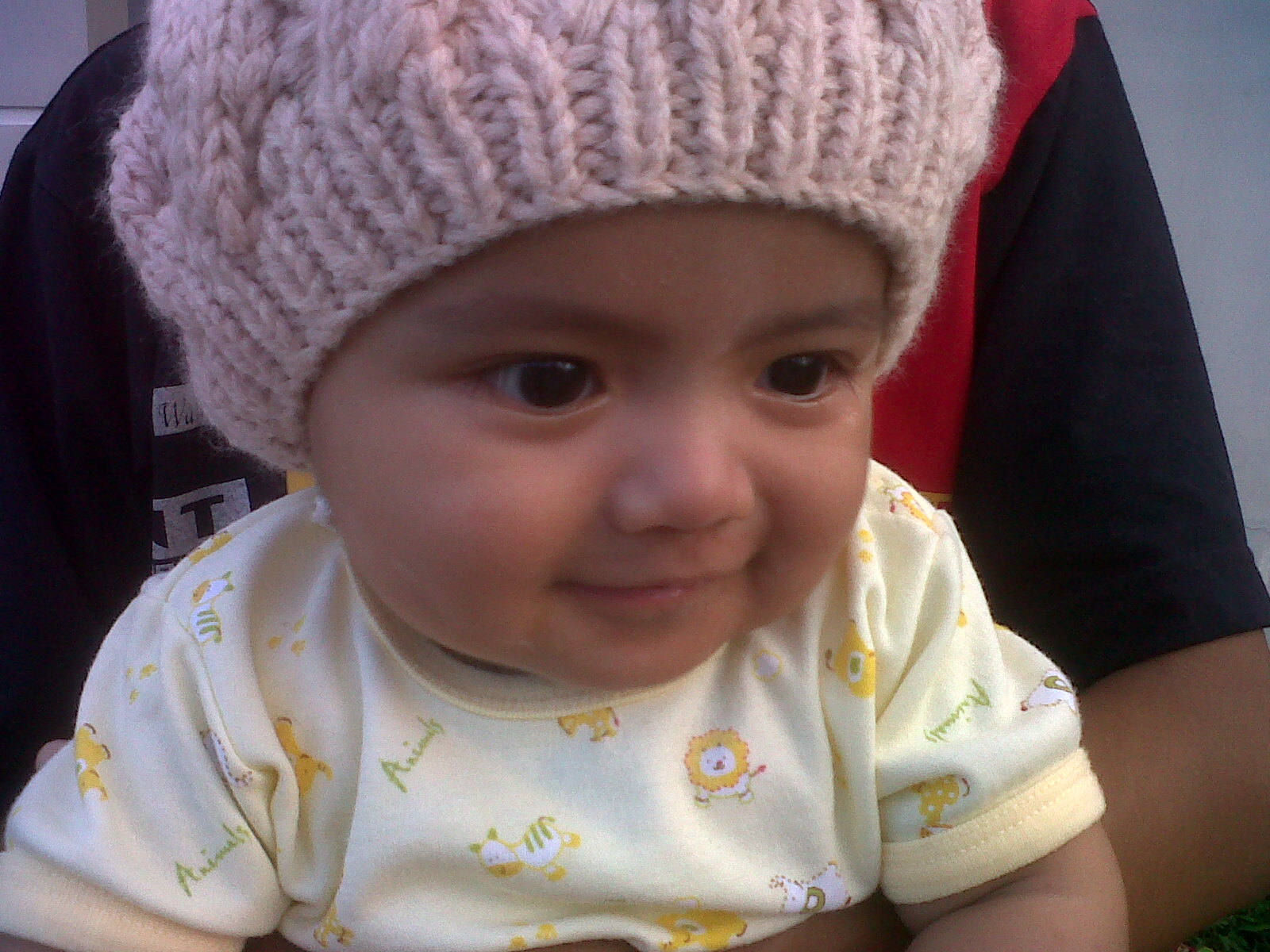 handini's profile picture