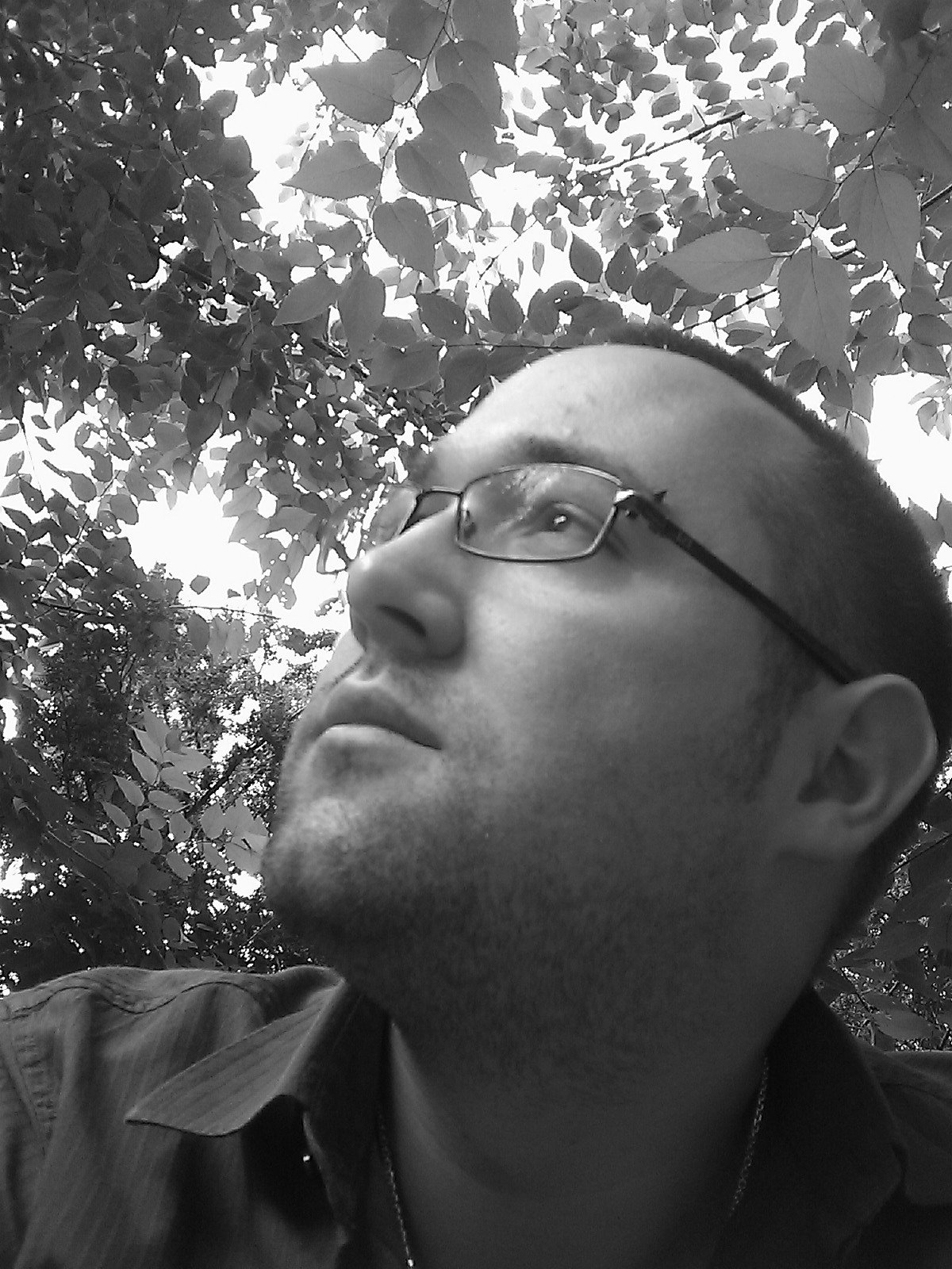 Weissenberger design's profile picture