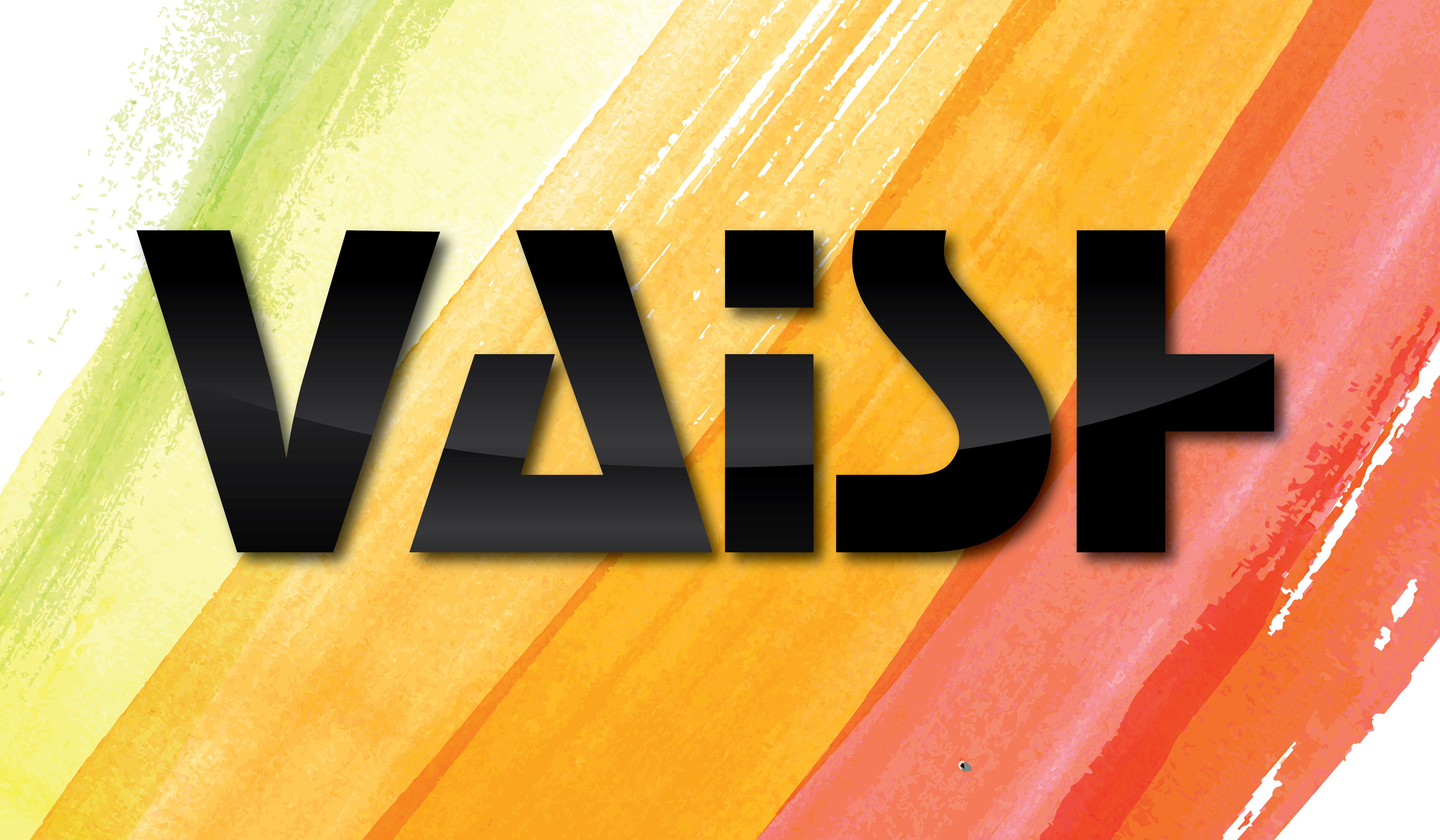 vaish's profile picture