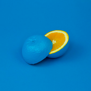Bryan Vallejo 2022's profile picture